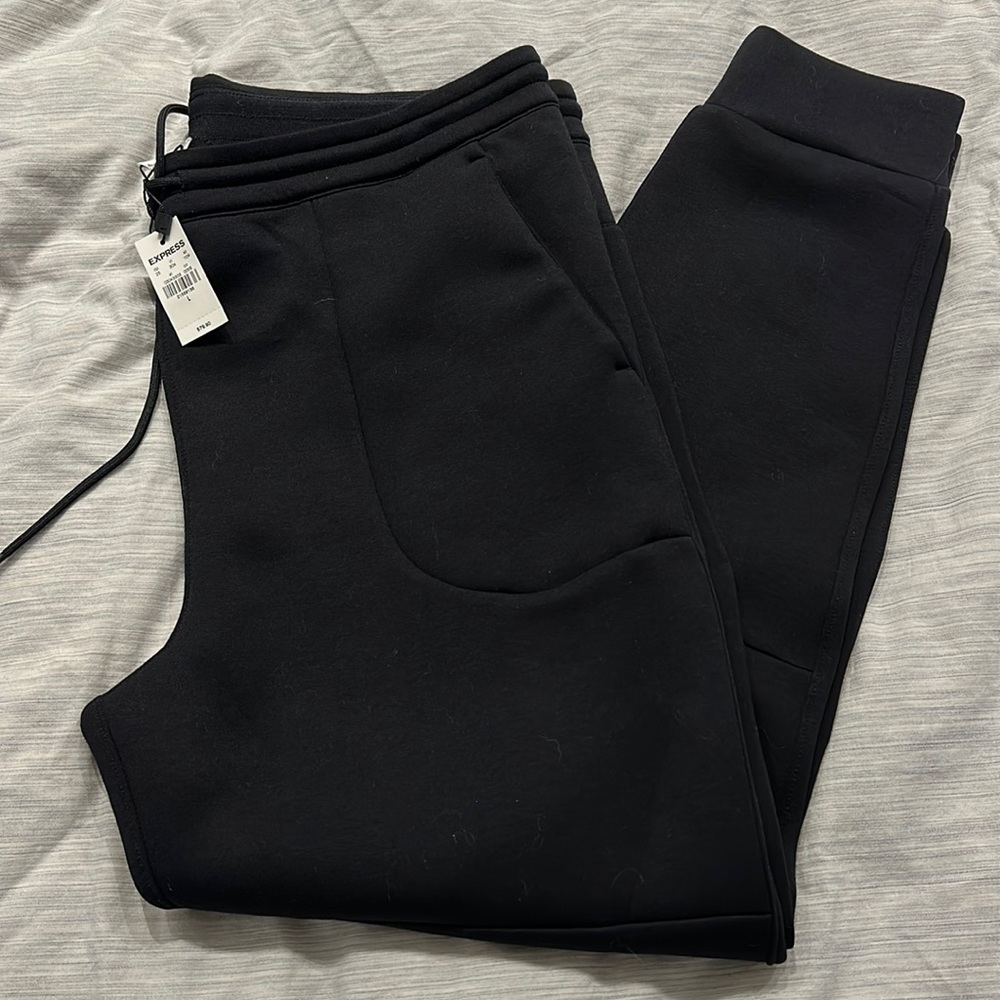 EXPRESS NWT SWEATPANT Size L